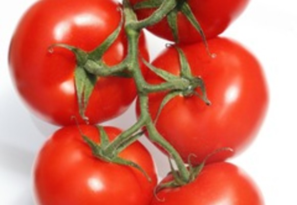 Tomaten