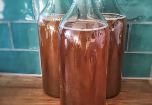 Kombucha 1074594 640