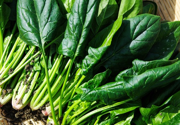 Vegetables 1125420 1920