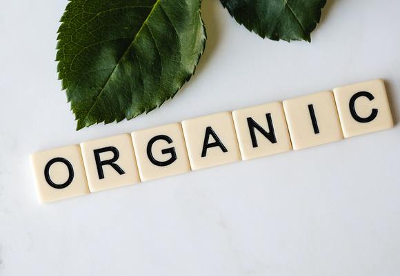 Green leaves and organic word 3669640