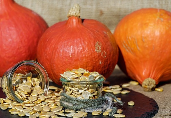 Pumpkin seeds 1738174 640