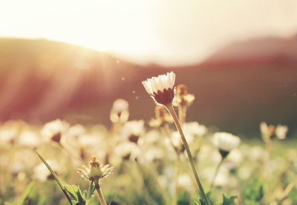 Alexandru tudorache 17852 unsplash