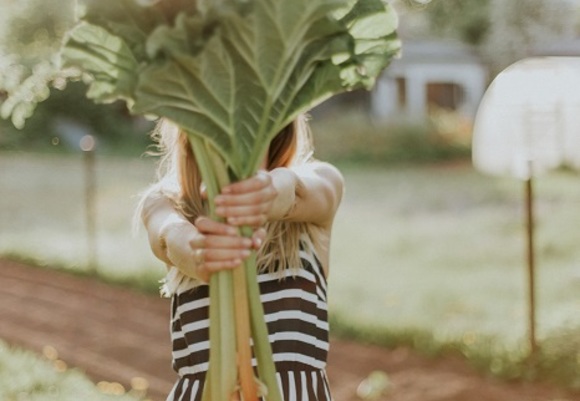 Daiga ellaby espahnjcey8 unsplash